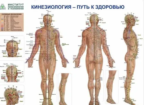 Плакат с акупрессурными точками